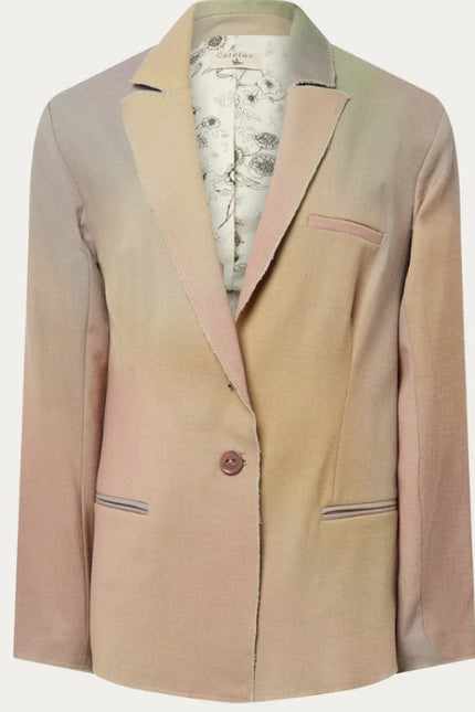 COTELAC Daphne Linen Jacket Rainbow Single Breasted Blazer Women's 1/US 6