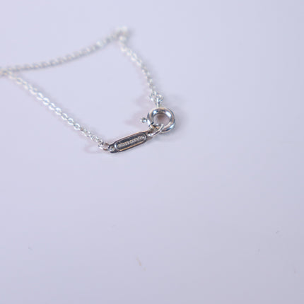 TIFFANY & CO Silver Atlas Pendant Chain Necklace Open Round Roman Clock Numerals