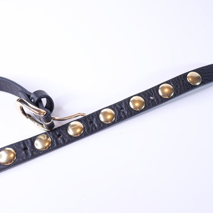 EVEREVE Skinny Lennox Studded Belt Black and Gold Women's XS/S