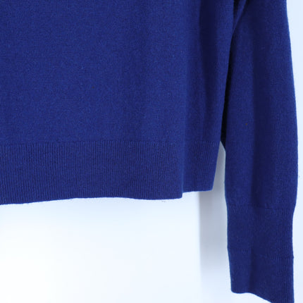 EVERLANE 100% Cashmere Turtleneck Sweater Blue Oversized Long Sleeve Women's L