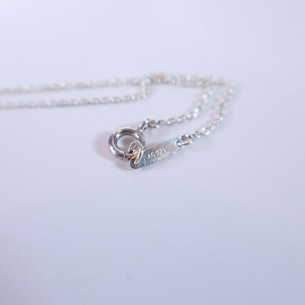TIFFANY & CO Silver Atlas Pendant Chain Necklace Open Round Roman Clock Numerals